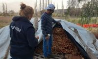 Agricultura Familiar: Se busca fortalecer producciones en la provincia de San Luis