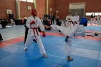Destacada actuación de deportistas merlinos en el 33° Torneo Nacional de Karate-do Kyudokan Argentina