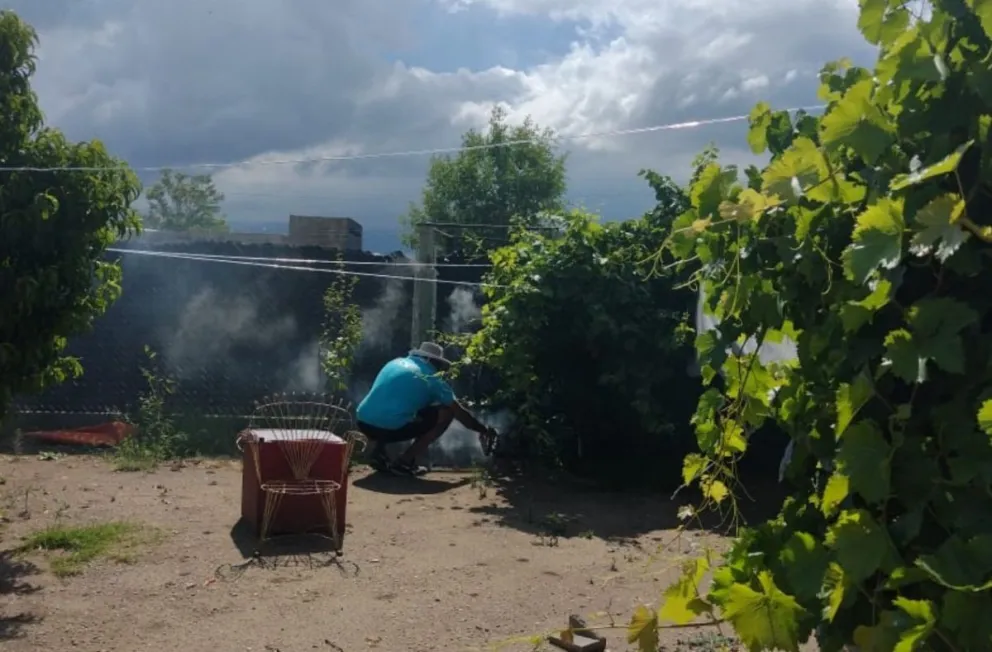 Bomberos controlaron un panal de avispas con la colaboración de un especialista