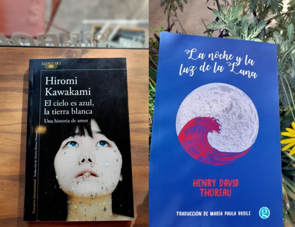 Librería Hexámetro te propone 10 libros para el árbol navideño