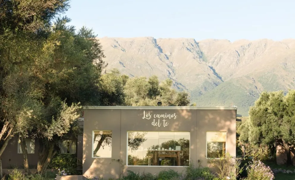 Los Caminos del Té: Un viaje de sabores y tradiciones