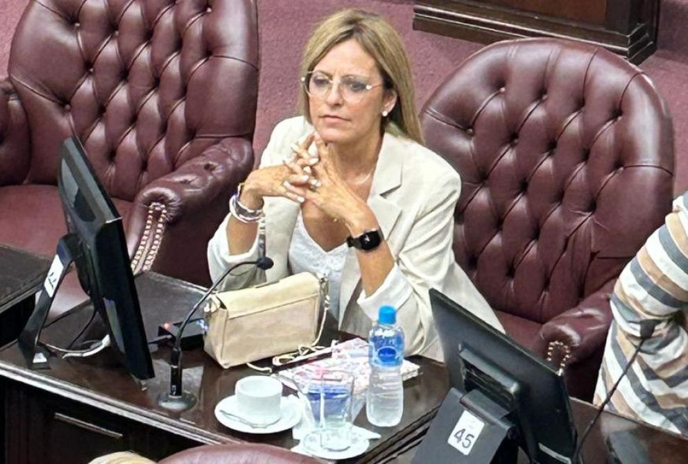 El ahora poggista Alberto Leyes fue electo presidente de la Cámara de Diputados y la merlina, Gabriela Mancilla vice primera