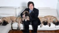 Revelan dónde están los perros de Milei: cómo viven los mastines del presidente
