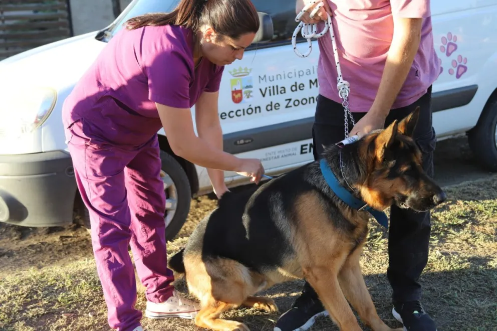 Actividades por el Día del Animal en Villa de Merlo