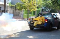 Dato alentador: Por segunda semana consecutiva bajaron los casos de dengue en San Luis