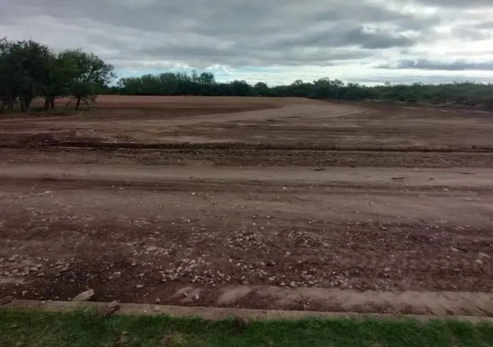 Por el desmonte en Ruta 5 piden informes al Ejecutivo