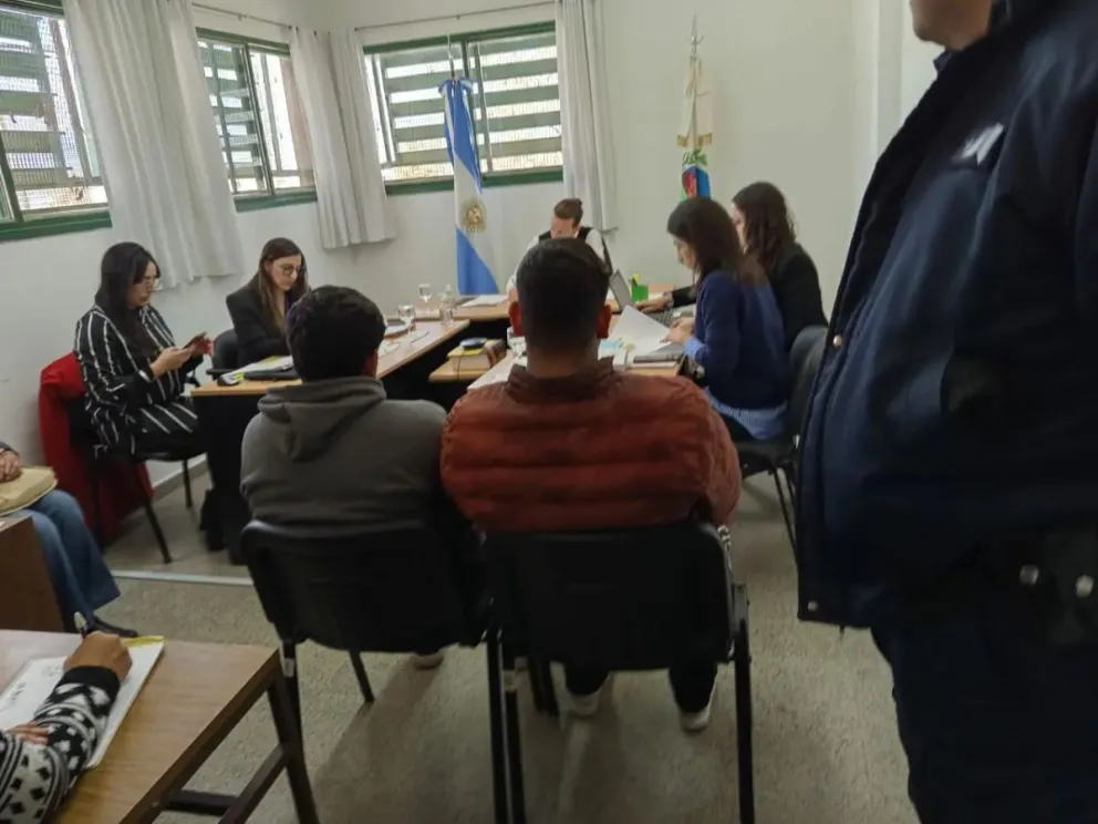 Dictaron la prisión preventiva para los dos hermanos acusados de asaltar a una jubilada en Villa de Merlo 