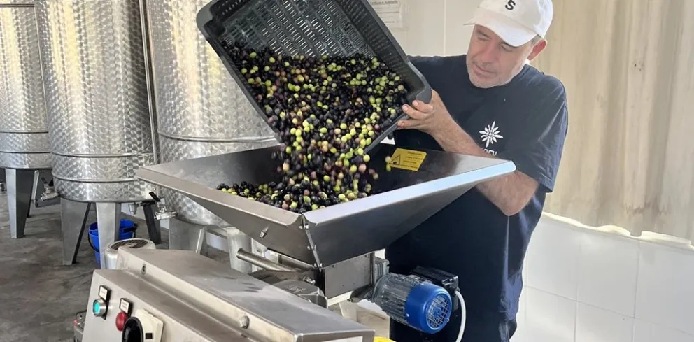 Dejó el vértigo de la TV para irse a Traslasierra y ahora produce aceite de oliva extra virgen premiado por su calidad