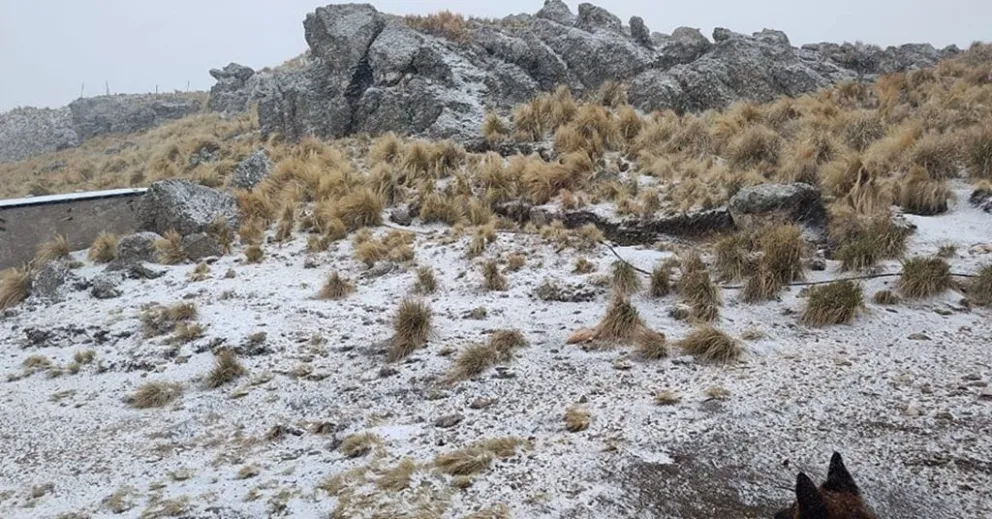 Reportan nieve en el Filo, Altas Cumbres y Cerro Champaquí
