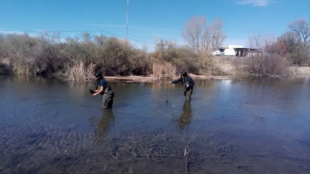 San Luis Agua toma muestras con el fin de analizar variaciones en la calidad del agua.