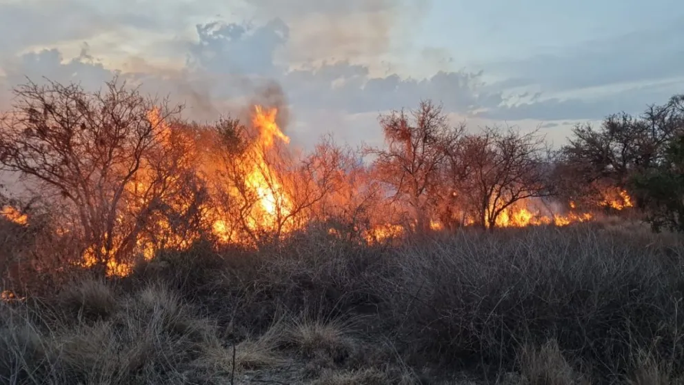 Incendio de magnitud entre las localidades de Cortaderas y Balcarce.