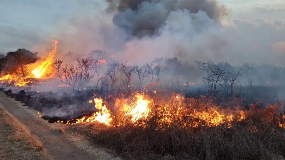 Luján será sede del plenario final del Plan de Prevención de Incendios Forestales.