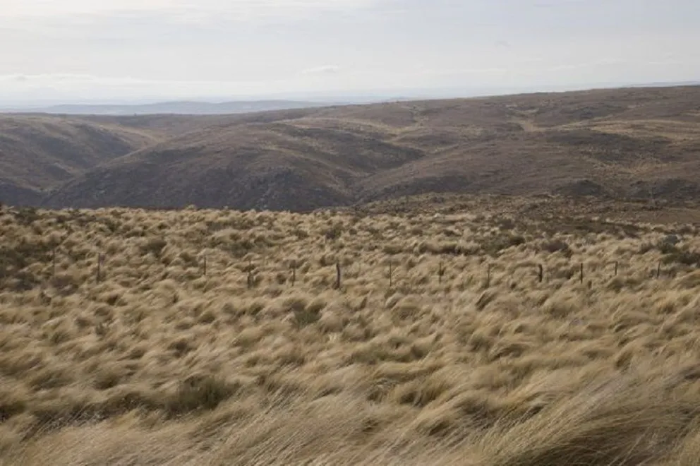 La REM emitió una alerta por vientos fuertes para el norte de la provincia.