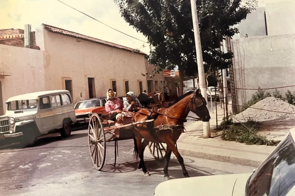 El Merlo antiguo en una muestra en la Casa del Poeta.