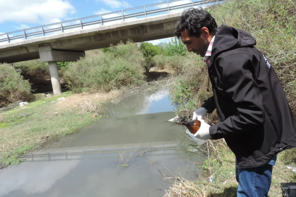 Baja oxigenación y cenizas en el agua, las causas de la muerte de carpas en el río Conlara.