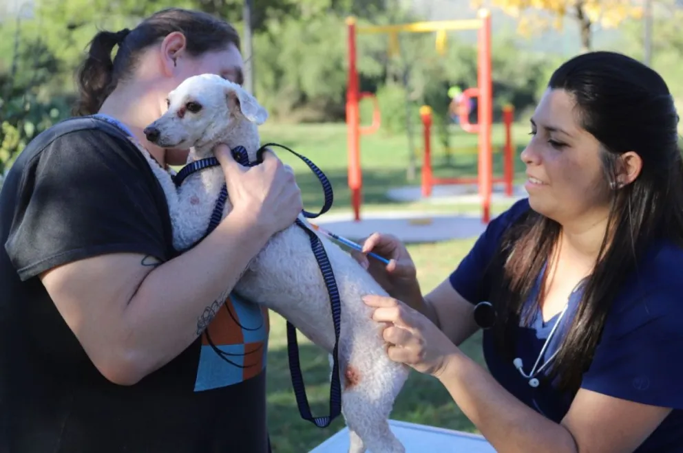 Vecinos piden por guardias veterinarias en Villa de Merlo.