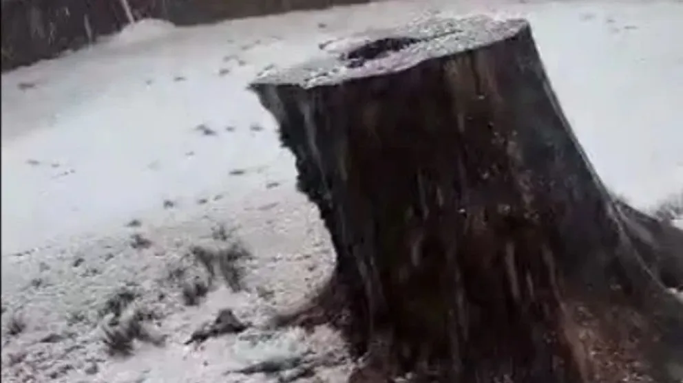 Una intensa granizada se registró esta tarde en la zona de las Altas Cumbres. (Foto: Diario de Carlos Paz)