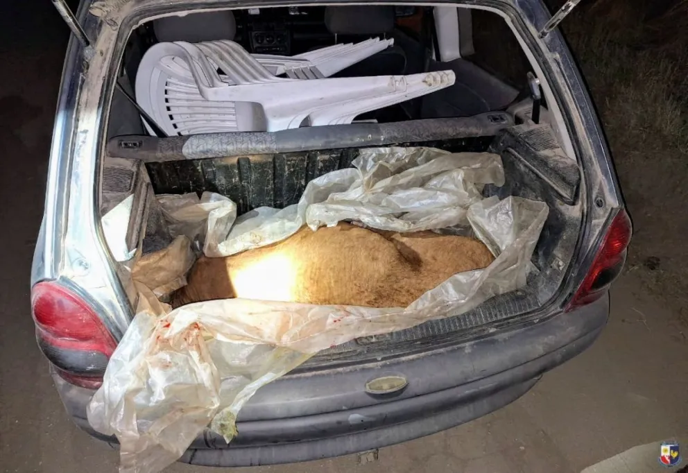 Tras una requisa vehicular, los policías constataron que un hombre trasladaba un animal bovino faenado en el baúl. Foto Pol. San Luis.