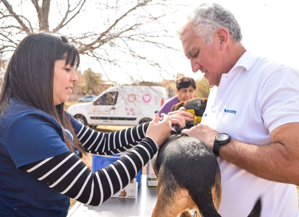 El equipo de Zoonosis estará el 18 de diciembre en el Barrio Dabal, de 18:00 a 19:30 y el 19 de diciembre en la plaza del loteo “El Algarrobo” en el mismo horario. 
