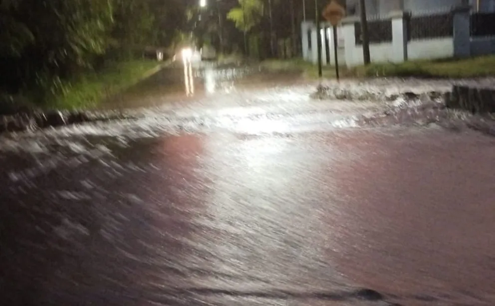Las precipitaciones continuas y los fuertes vientos han provocado la caída de árboles, calles anegadas y crecida de arroyos. 