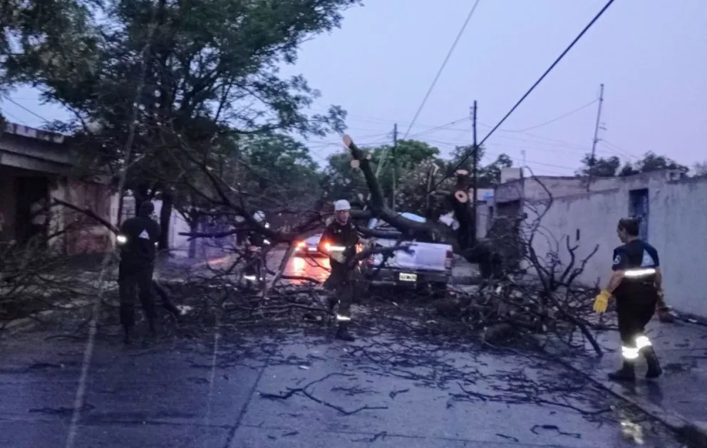 Graves destrozos dejó la tormenta en la ciudad de San Luis.