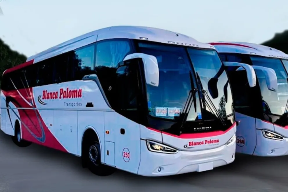 Blanca Paloma es la empresa encargada del servicio.
