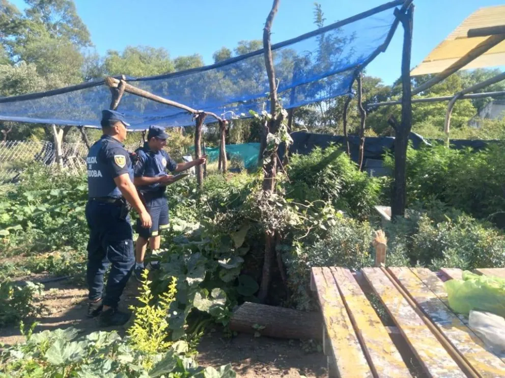 Efectivos de la Comisaría de La Paz realizó un allanamiento en una vivienda del paraje Las Chacras, y procedieron a la detención de un hombre de 33 años. (Foto: Policía)
