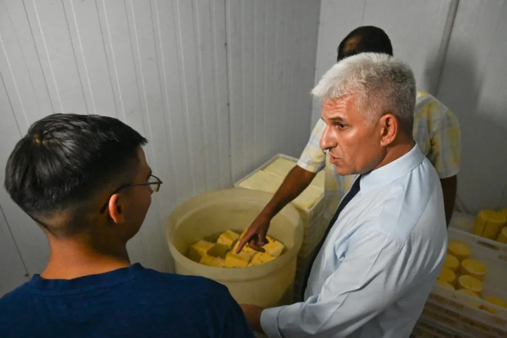 Fabrica de quesos en Concarán