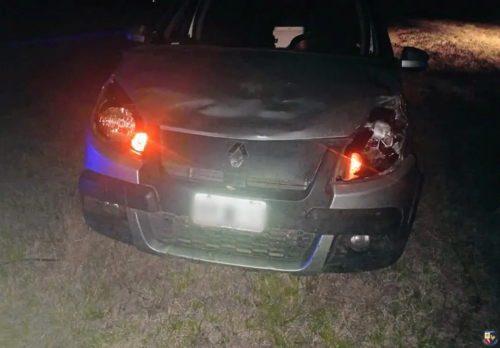 Uno de los autos afectados por el choque con animales sueltos. Foto Pol.San Luis.