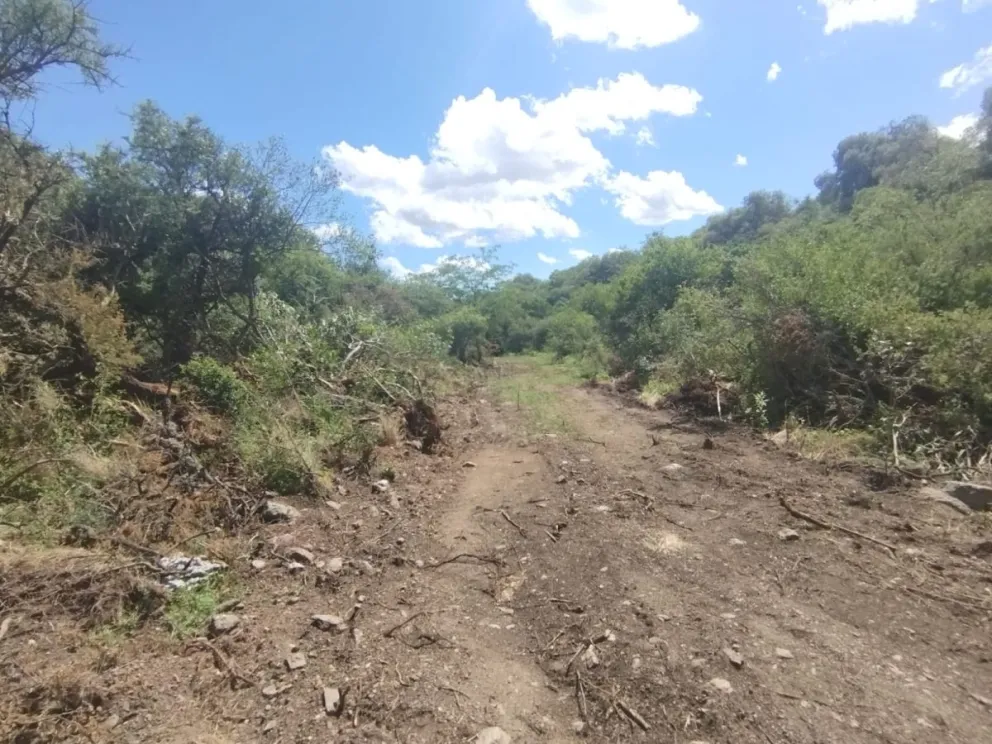 Sectores desmontados entre Los Nogales y el Chumamaya.