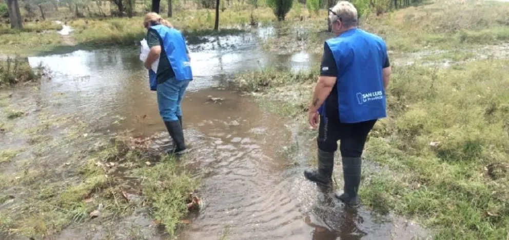 Desde el Gobierno, brindaron un panorama luego del temporal que azotó a San Luis. 