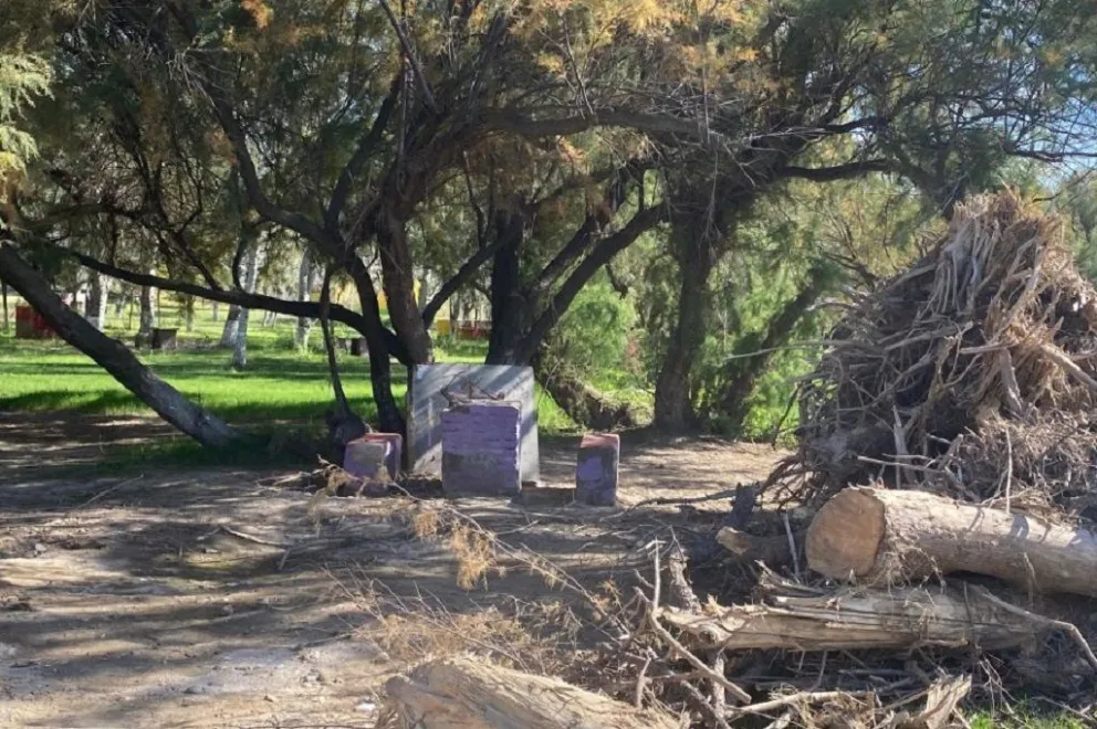 La crecida del río Conlara en marzo tumbó árboles, vegetación, removió el asfalto y dejó 40 centímetros de barro en el predio del balneario.