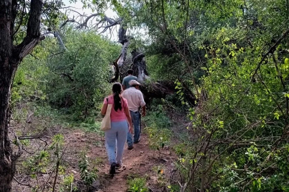 “Re-conociendo los árboles nativos de San Luis”