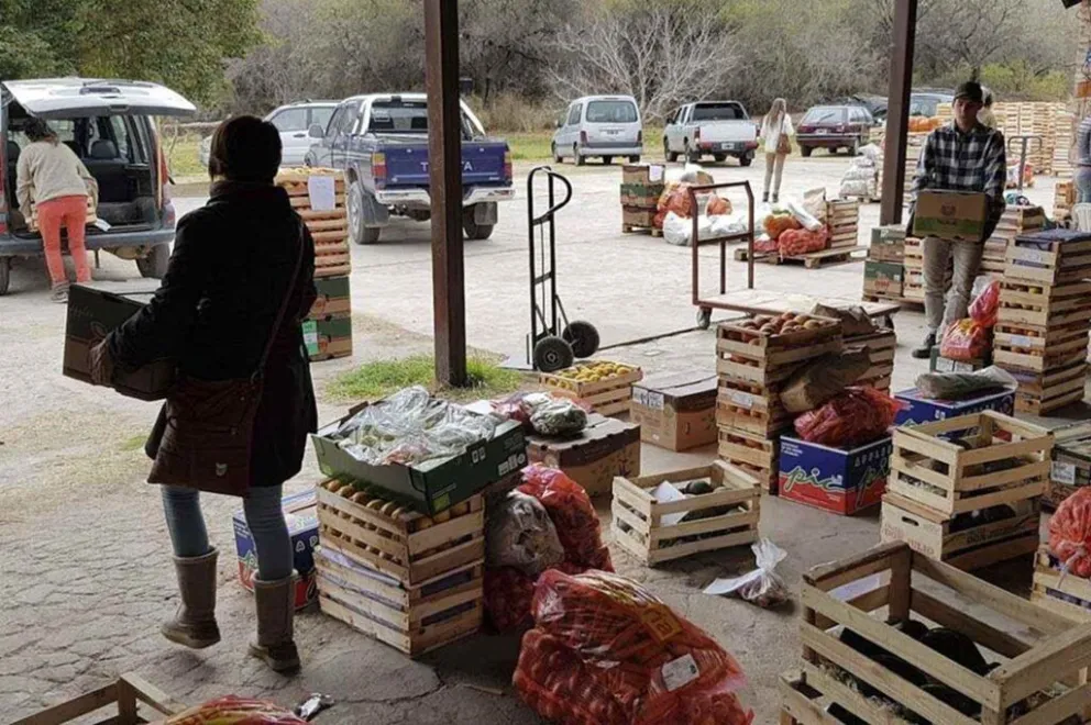 Compra Viva llegó a repartir 30 toneladas de frutas y verduras en toda la región. (Foto: Tiempo Argentino)