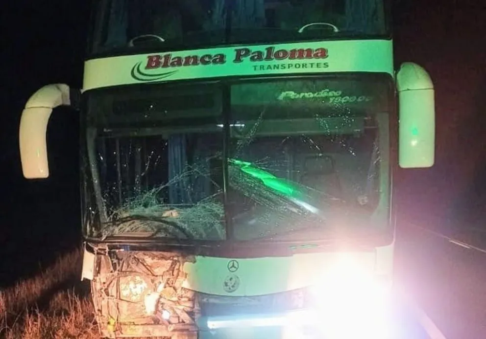Un colectivo embistió a un animal vacuno en la ruta nacional 79.