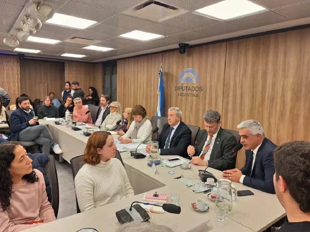 Los bloques opositores de la Cámara de Diputados impulsarán un proyecto de financiamiento universitario presentado por los rectores del Consejo Interuniversitario Nacional. (Foto: NA)