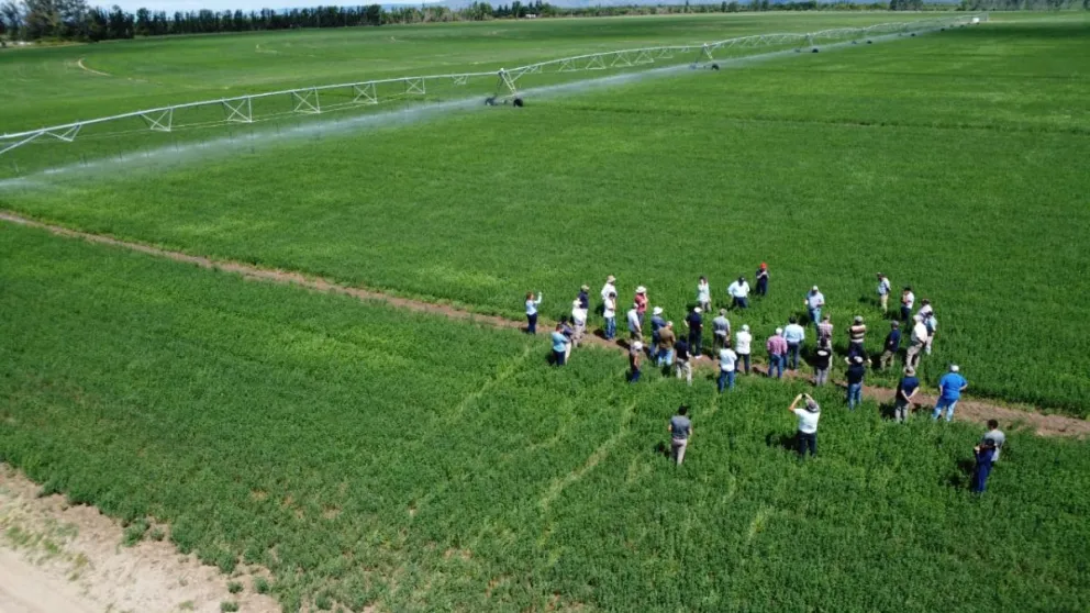 Con una duración de 5 años, la carrera de Ingeniería en Recursos Hídricos de la UNLC prepara profesionales capaces de abordar los desafíos hídricos con una visión integral, combinando conocimientos técnicos, gestión ambiental y desarrollo.