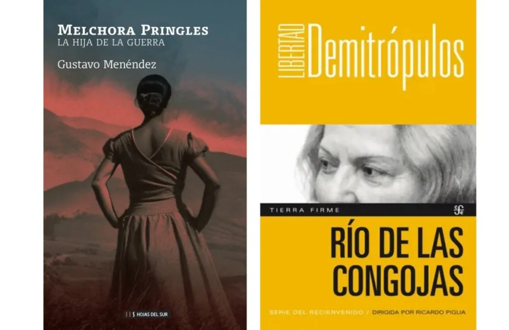 Dos novelas históricas que interpelan lo que sucedió en nuestro país.