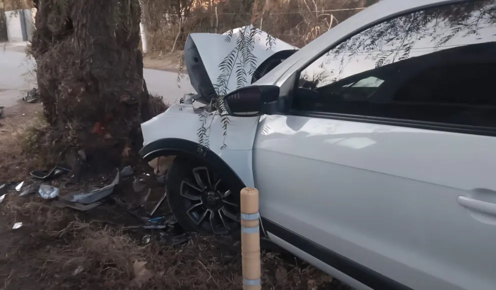 Camioneta se estrelló contra el árbol ubicado en el medio de la avenida Juana Azurduy.