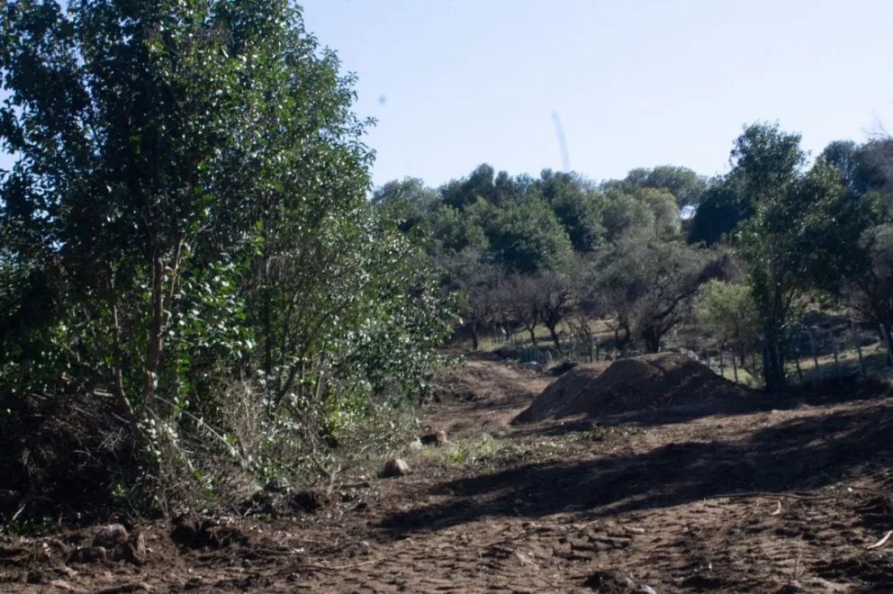La Defensoría intimó al Municipio de Merlo por una ordenanza que ignora la participación ciudadana en temas ambientales.