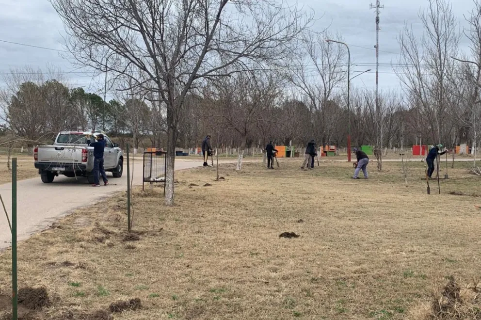 La plantación estuvo a cargo de operarios del área de Arbolado de Espacios Públicos, bajo la coordinación de Mariano Gómez, responsable de los Viveros Provinciales.