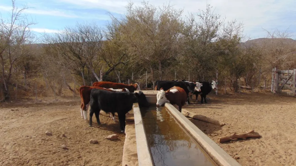 Quejas del campo por el aumento del camon del agua. Foto elsemiarido.com