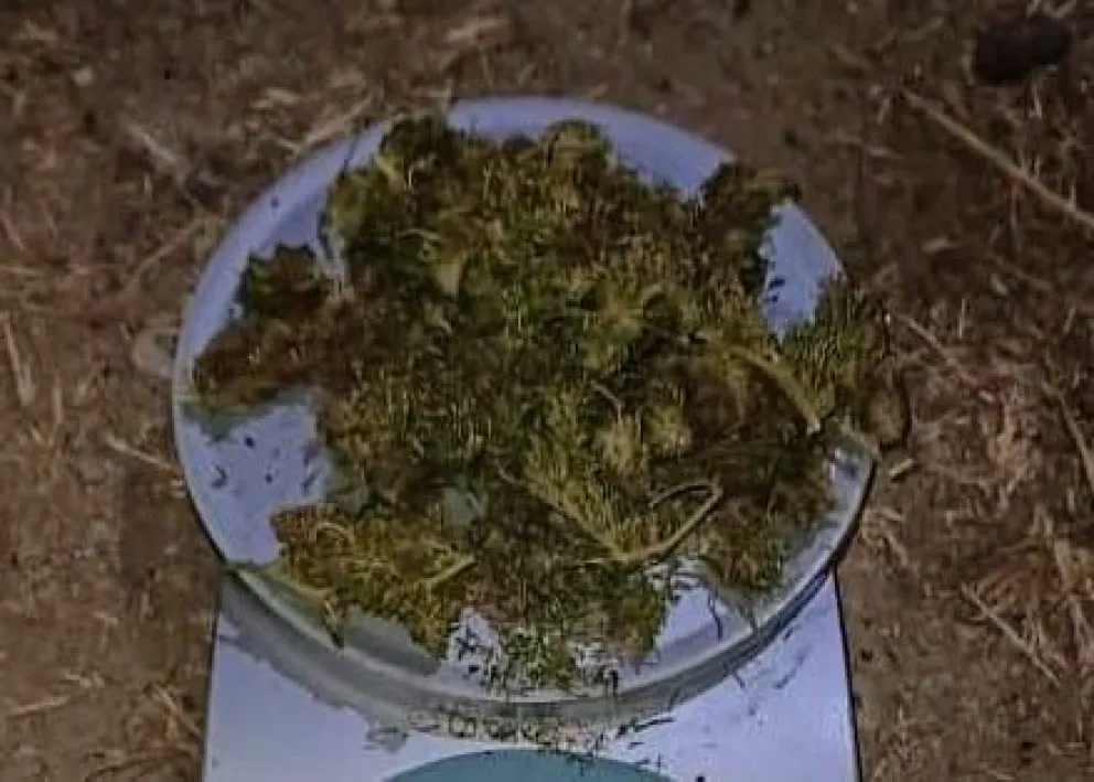 Villa de Merlo: la Policía secuestró marihuana y cocaína en un operativo de prevención