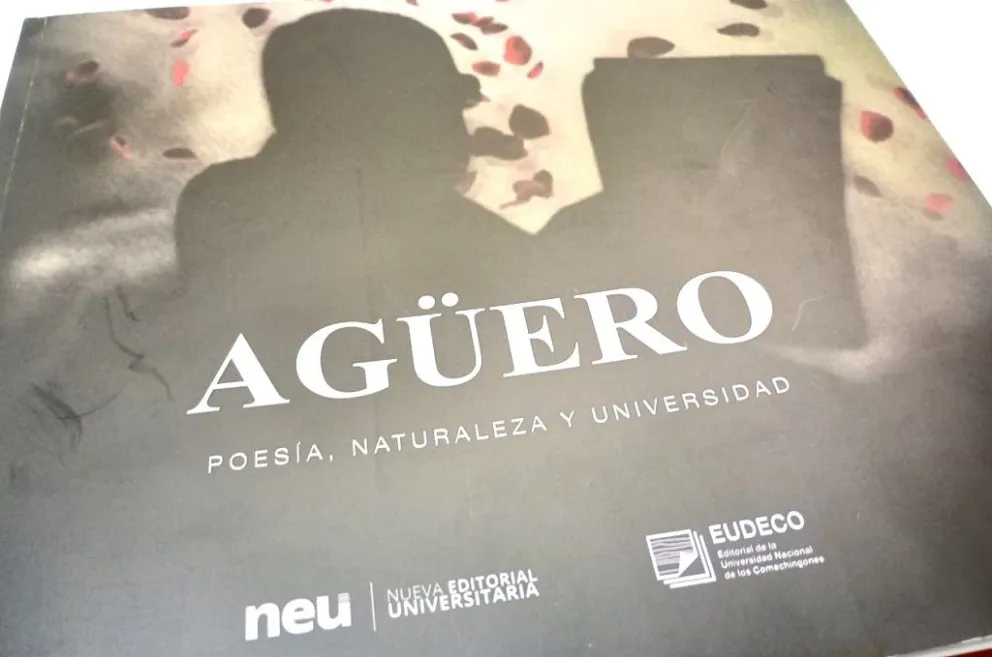 Se trata de una edición conjunta de las editoriales de la UNLC y la UNSL.
