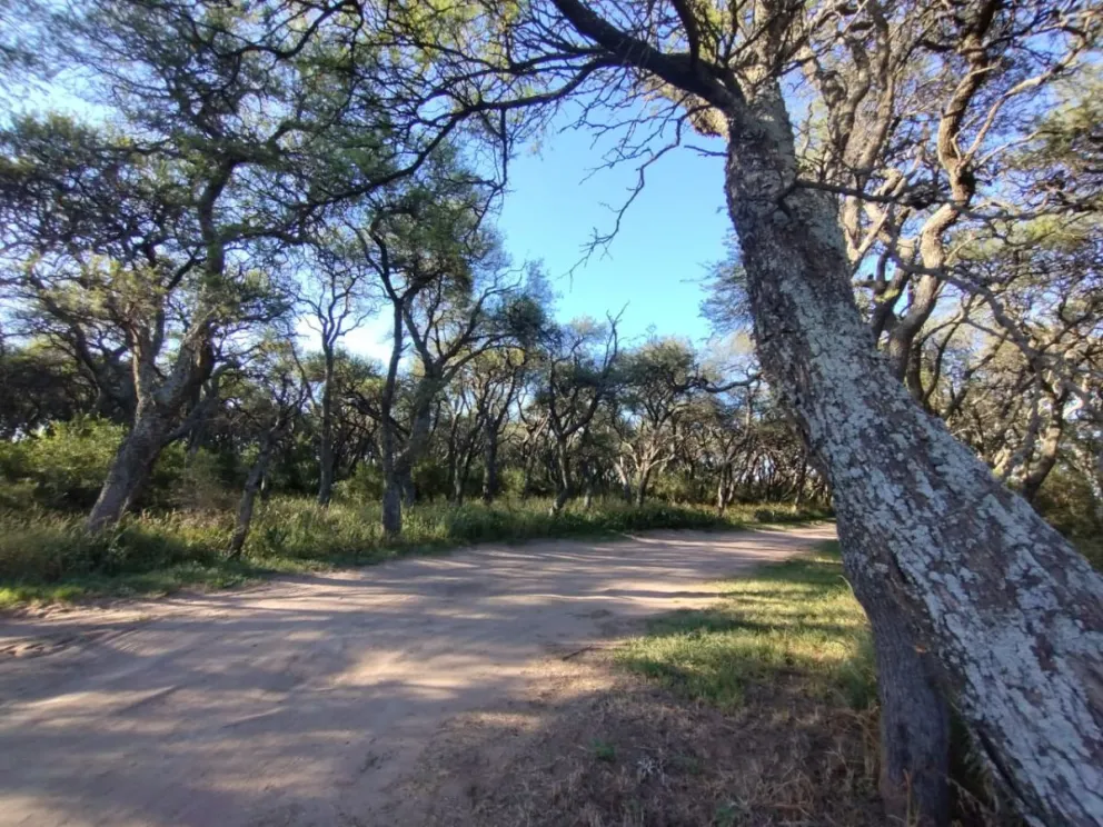 La provincia posee un territorio de alto valor natural y paisajístico, con ecosistemas de relevancia en los cordones de Comechingones y Sierras Centrales, el árido oeste y el sur poco poblado.