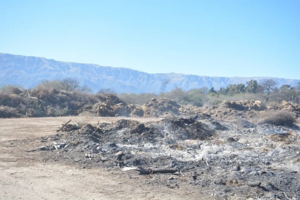 Trabajos de mitigación tras el incendio en el chipeadero municipal.