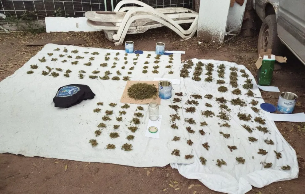La droga secuestrada por la policía en Carpintería. Foto. Pol. SL.