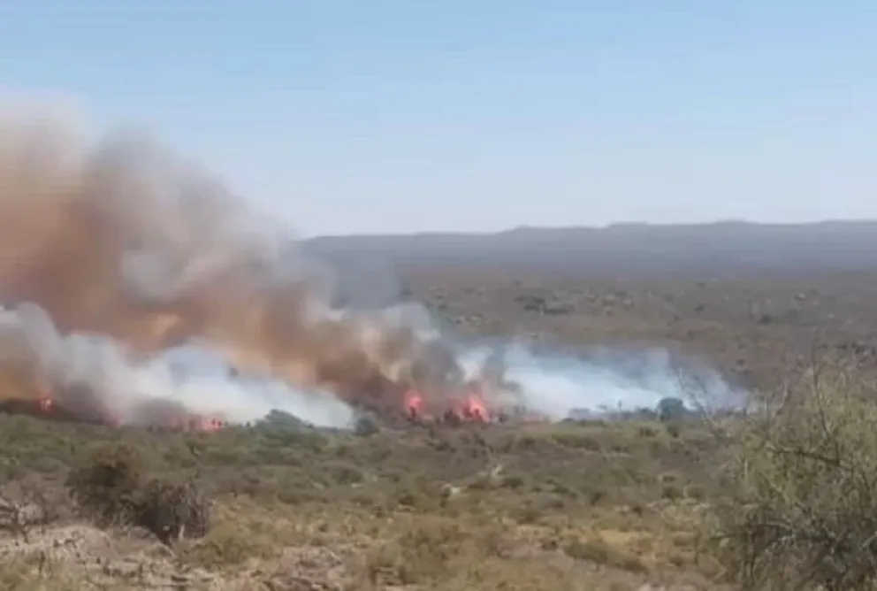 Un incendio forestal se desató en la zona de Pie de la Cuesta, cerca de San Francisco del Monte de Oro.