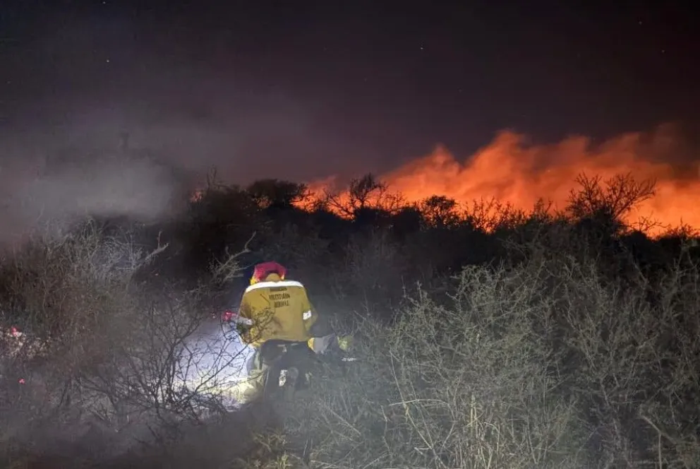 Incendio arrasó 80 hectáreas en la zona cercana a Papagayos