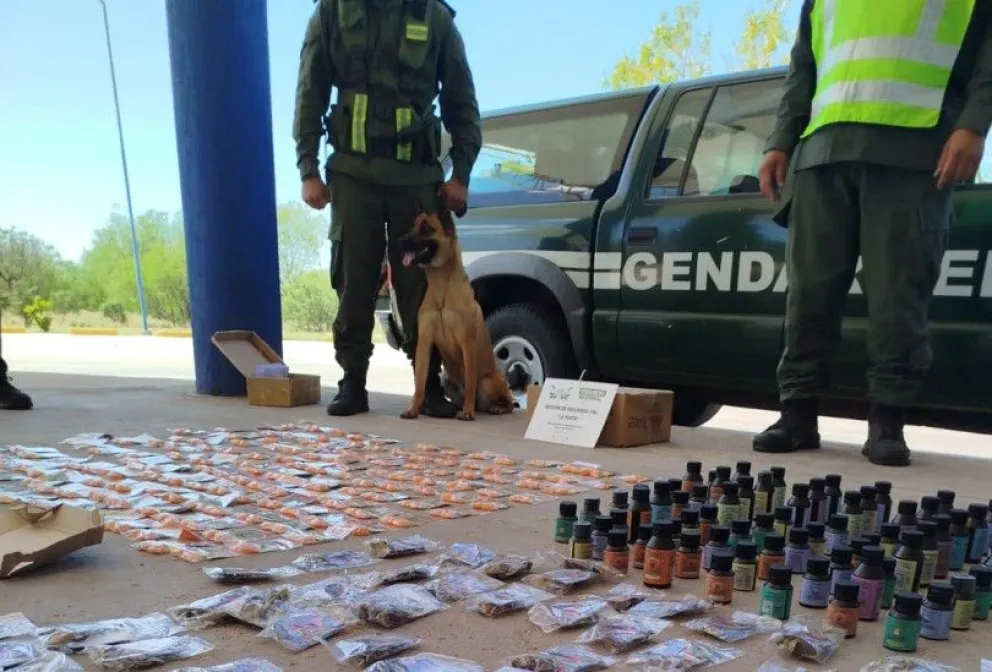 A la altura de la localidad puntana de Lujan, el personal de la Sección Seguridad Vial “La Punta” controló un automóvil que se dirigía hacia la ciudad de La Cumbre (Córdoba). 